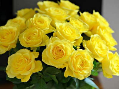 Советы по покупке цветов для любимого человека